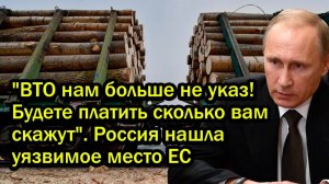 'ВТО нам больше не указ! Будете платить сколько вам скажут'. Россия нашла уязвимое место ЕС