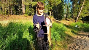 НАЧАЛО ОДНОЙ НАШЕЙ КЛЁВОЙ ЕЩЁ ОСЕННЕЙ РЫБАЛКИ, ПОКА ЖЕЛАНИЯ НЕ СОВПАДАЮТ С ВОЗМОЖНОСТЯМИ)...