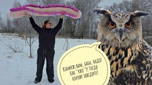 Всё вокруг покрылось корочкой льда, сова Ёль тоже! Аня тягает по сторонам плюшевую ужасеницу!