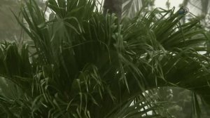 Голые и напуганные 9 сезон 7 серия (реалити-шоу, 2018)