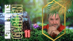 The Olive Tree Beaten ~ Isaiah 17 Reveals Qamah, Laqat & the Final Harvest Garden Eleven