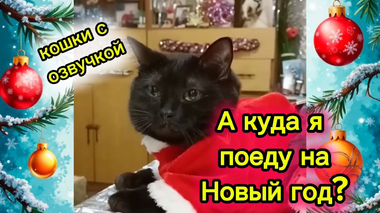 КОШКИ С ОЗВУЧКОЙ. Новогодний юмор. смотреть онлайн