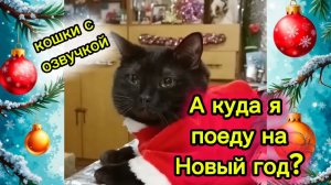 КОШКИ С ОЗВУЧКОЙ. Новогодний юмор.