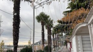 Ялта. Площадь Советская. Исполком. Елки: 1-2-3. Набережная им.Ленина. 23.12.2025. Крым. Crimea.Yalta