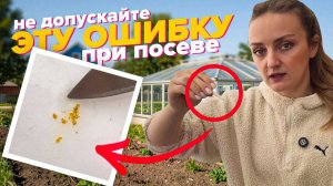 РАССКАЗЫВАЕМ ВСЕ ПРО ДРАЖИРОВАННЫЕ СЕМЕНА