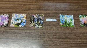 ПОСЕЯЛ ПОСЛЕДНИЕ ЦВЕТЫ (в этом году)