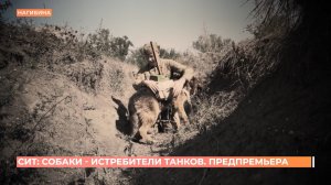 "СИТ - собаки истребители танков": предпоказ документального фильма Первого Ростовского в кинотеатре