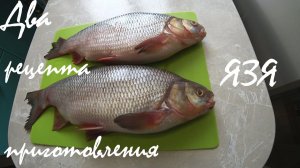 Вы поменяете свое представление о язе. Два пошаговых рецепта приготовления язя. Готовим улов 3.