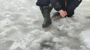 Основной водоём.