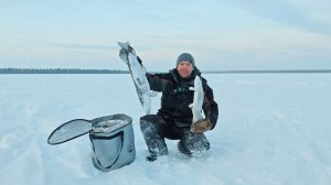 Кто ищет тот всегда найдёт, окунь на мормышку.