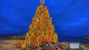 Новый год в Крыму. Лучше не придумаешь!