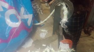 Клинок номер 117, едет на тесты по зверю