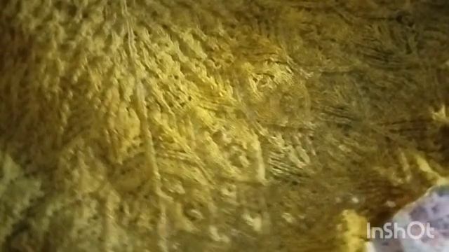 СП "Последний ряд под бой курантов" отчет смотреть онлайн