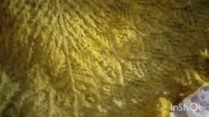 СП "Последний ряд под бой курантов" отчет