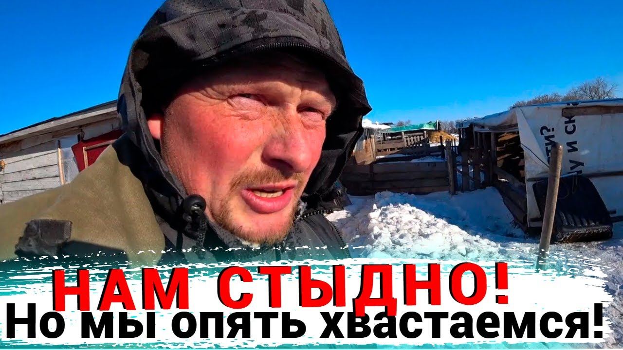 Теперь у нас их 5. Корова отелилась. Омская деревня.