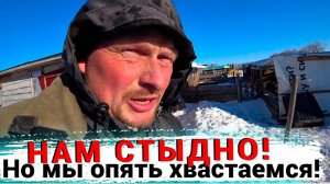 Теперь у нас их 5. Корова отелилась. Омская деревня.