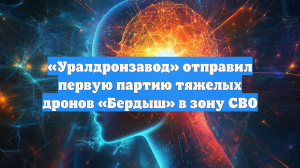 «Уралдронзавод» отправил первую партию тяжелых дронов «Бердыш» в зону СВО