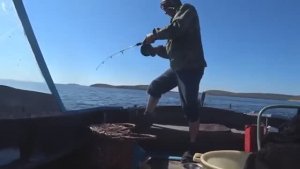 СУПЕР РЫБАЛКА С ПИНГВИНАМИ! НАКИДАЛ БЫСТРО ТРЕСКИ В КАТЕР И ДОМОЙ.