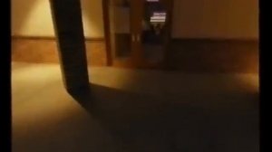 Винчестер кассеты фредбер  Family Diary укус 83