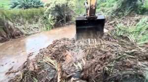 Запуск еще один пруд часть 01 много много воды и много кустарников