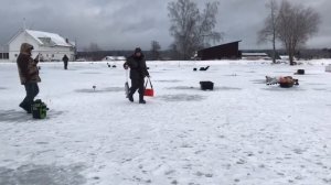 поимка форели на молька