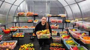 ЛУННЫЙ ПОСЕВНОЙ КАЛЕНДАРЬ на 2026 ГОД, БЛАГОПРИЯТНЫЕ ДНИ