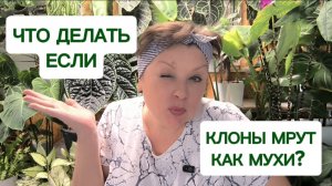 О реанимации клонов смотри в VK и Бусти. 😉 25-12-2025