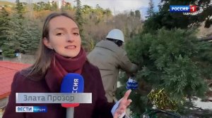 ВЕСТИ КРЫМ: выпуск 25.12.2025 21:10