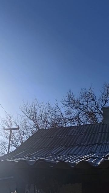 У нас резко похолодало. 25 декабря 2025 г.