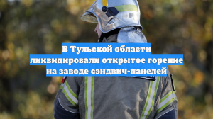Пожарные потушили масштабный пожар на производстве в Тульской области