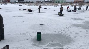 хороший утренний клёв