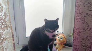 Ёлку нарядила,и мороз пришёл