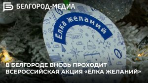 В Белгороде вновь проходит всероссийская акция «Ёлка желаний»