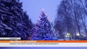 Радуют ли новогодние ёлки жителей Мордовии?