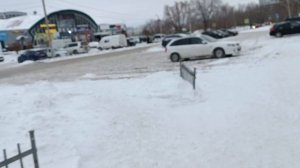 Дневная прогулка и Ёлочный базар