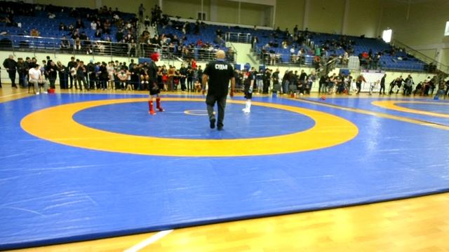 Открытые соревнования КЧР по панкратиону 16 ноября 2025 года Черкесск ковёр 2 часть 2 смотреть онлайн