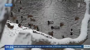 Температурные качели: Москву накрыла оттепель, на Новый год - мороз.