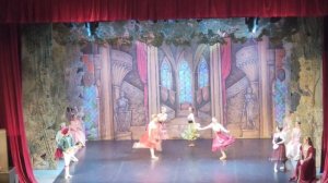 VID2025 Сегодня я был на Балете Лебединое озеро