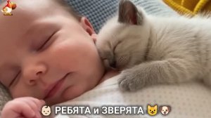 Ребята и зверята от ИИ милое видео для души и радости 👶🏻😺🐶 (13)