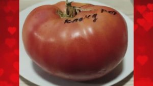 СКИДКИ на СЕМЕНА! Томаты для диетического питания. Наборы семян томатов. т. 89229284031