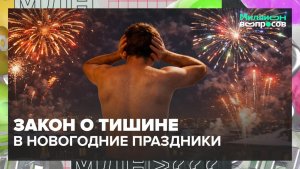 Как работает закон о тишине в новогодние праздники? | Миллион вопросов — Москва 14 | Контент