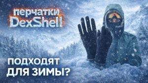 Перчатки DexShell — честный домашний обзор