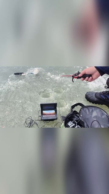 Артикул Я.Маркет - YM10181277 (не забудь при поиске YM) смотреть онлайн