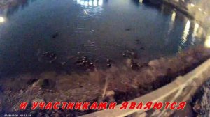 РАЗЛИЧНЫЕ МНЕНИЯ