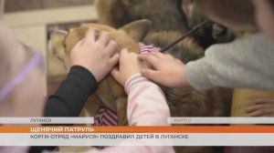 Корги-отряд «Маруся» поздравил детей в Луганске