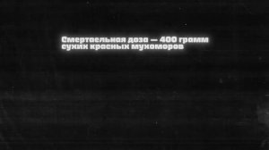 Микродозинг МУХОМОРОВ: Курс, Дозы, Эффекты