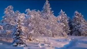 1000007649.mp4христианский канал