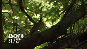 Голые и напуганные 8 сезон 2 серия (реалити-шоу, 2018)