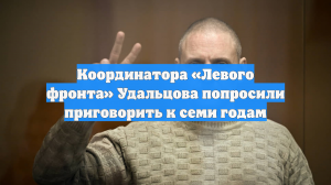 Координатора «Левого фронта» Удальцова попросили приговорить к семи годам