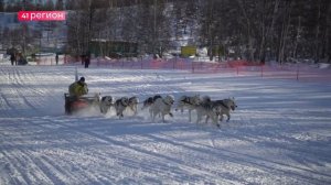 НАЧАЛСЯ ПРИЁМ ЗАЯВОК НА УЧАСТИЕ В БОЛЬШОЙ ГОНКЕ «БЕРИНГИЯ-2026» • НОВОСТИ КАМЧАТКИ